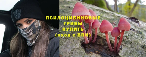 ешки Каменногорск